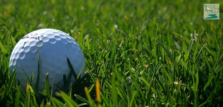 Parcours de golf