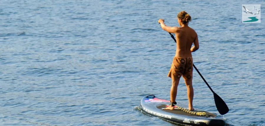 Paddle