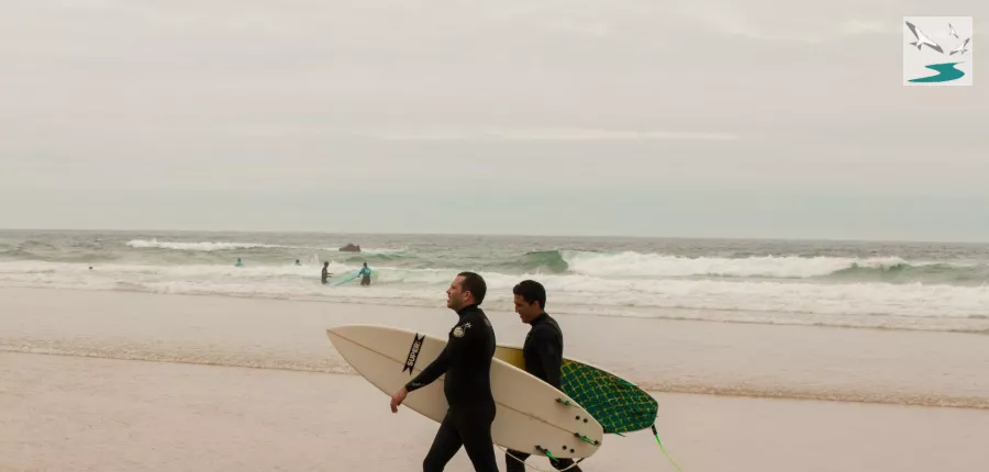 Surf