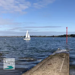 Vue depuis l'île aux Moines sur le golfe du Morbihan