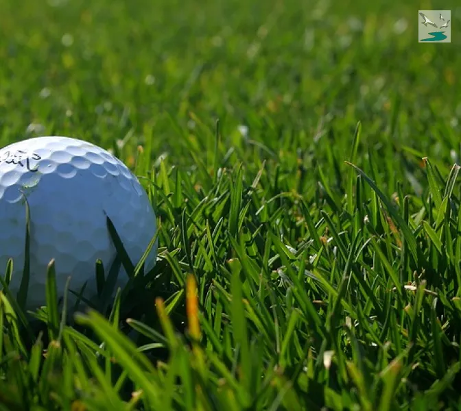 Parcours de golf