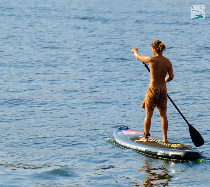Paddle