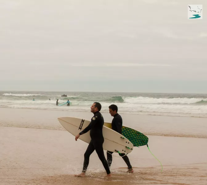 Surf